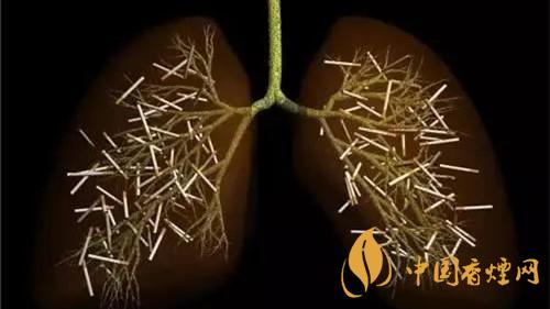 煙齡長(zhǎng)不要盲目戒煙 二十年煙齡戒煙的后果