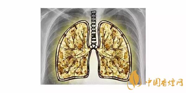 尼古丁怎么對人產生的影響 尼古丁的危害