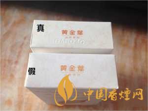 黃金葉天葉真假識(shí)別