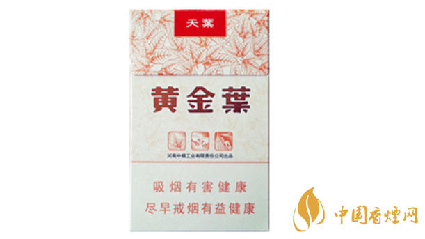 黃金葉天葉真?zhèn)卧趺幢鎰e？天葉真假如何看？