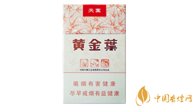 黃金葉天葉真假怎樣區(qū)分?黃金葉天葉真假識別