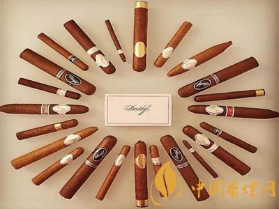 新手必備的雪茄知識！不要錯過！