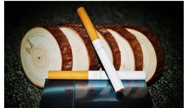 黃鶴樓游泳回歸，爺爺輩最喜愛的香煙品牌