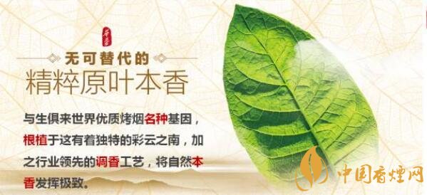 玉溪新品香煙怎么樣 新款玉溪煙2017照片