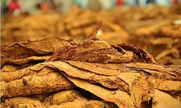 津巴布韋煙葉為什么好，黃金煙葉成為國(guó)寶