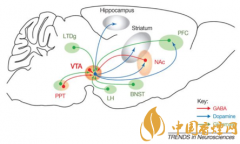 煙癮是什么 煙癮犯了怎么辦！